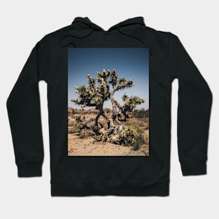 Joshua Tree Photography V2 Hoodie